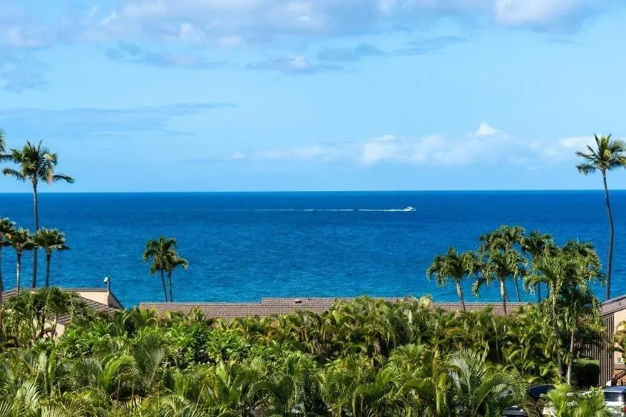 Appartement Wailea Elua, #0802 Condo États-Unis